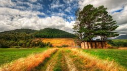 Green Field and Mountain in New Zealand