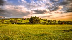 Green Field and Small Village