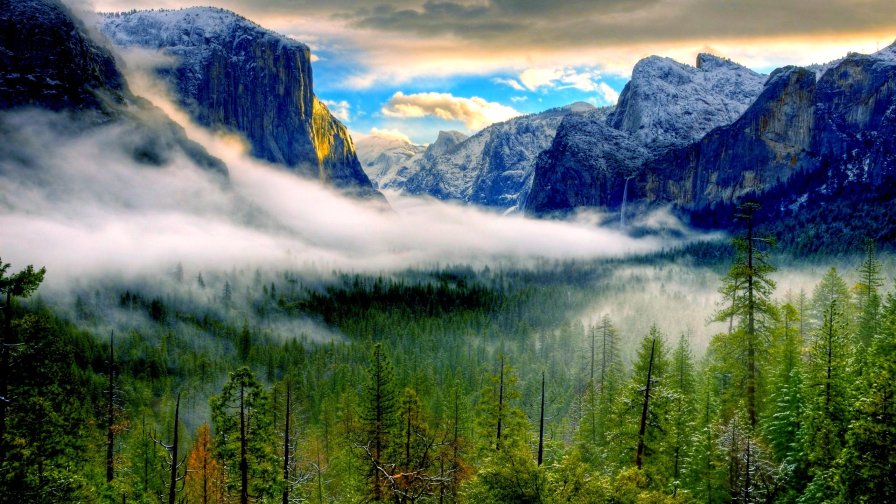 Green Forest in Mountain Valley