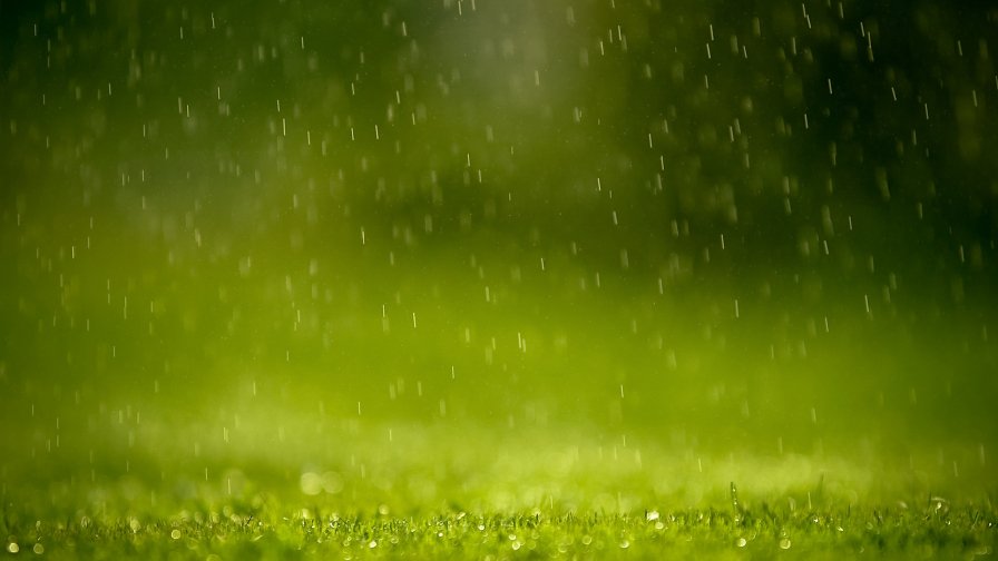 Green Grass and Rain