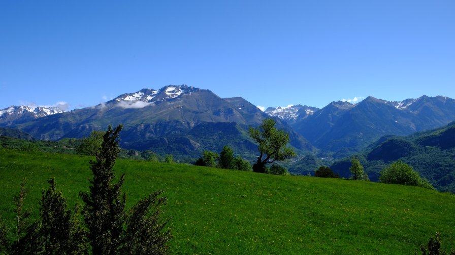 Green Grass on the Field and Mountain Valley