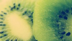 Green Kiwi Close Up Fruit