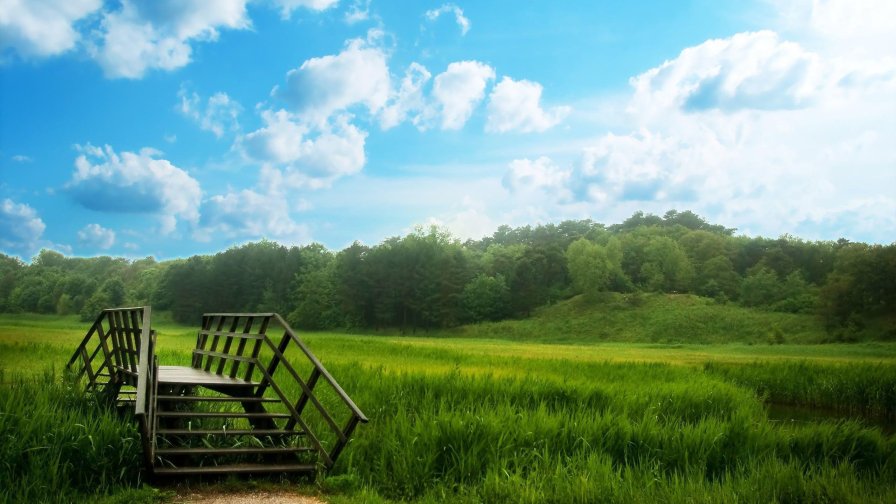 Green Meadow and Bridge on the River