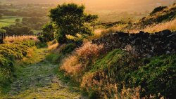 Green Valley and Sunset