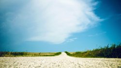 Hot Day Yellow Road and Green Field