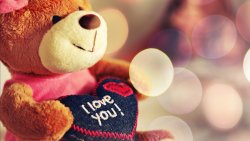 I Love You Teddy Bear