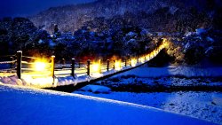 Illuminated Bridge in Winter City