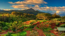 Kauai Hawaii Garden in Old Beautiful Village