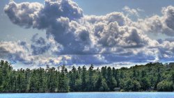 Lake Waves and Forest