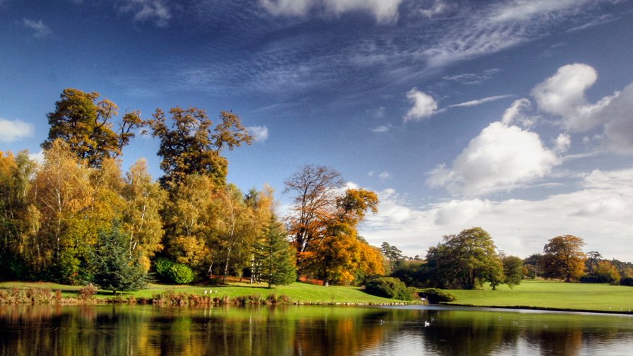 Lake and Autumn Forest Perfect