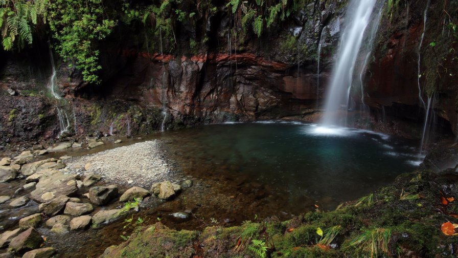 Little Waterfall in Green Forest