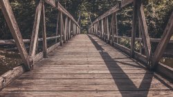 Long Wood Bridge and Green Forest