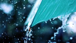 Macro Water Drops Rain