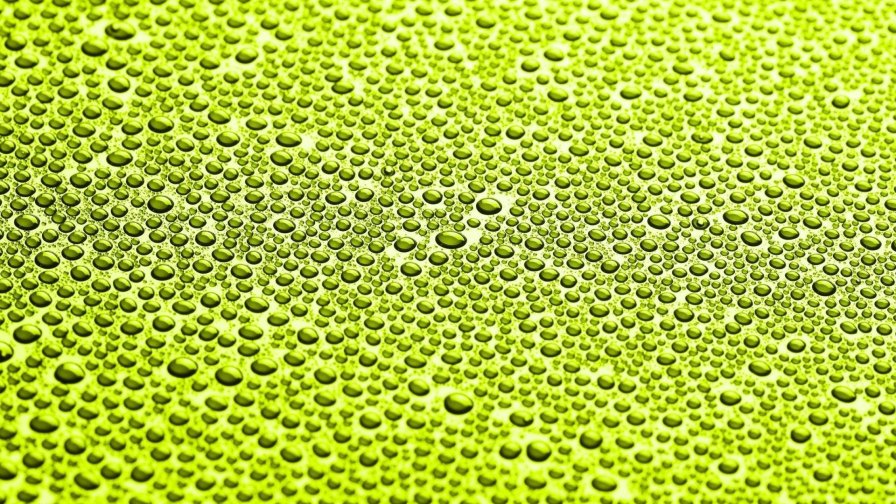 Macro Water Drops and Green Glass