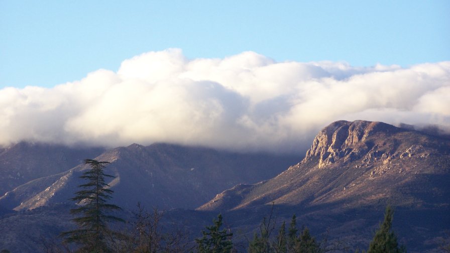 Morning in the Mountains