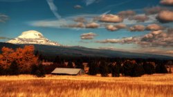 Mountain Peak and Yellow Wheat Field