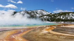 Mountain Salt Lake with Fog and Forest