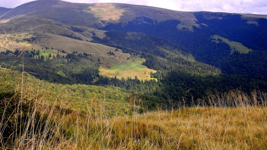Mountain Valley in Carpathians and Small Village
