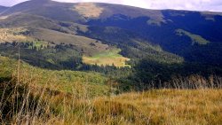 Mountain Valley in Carpathians and Small Village