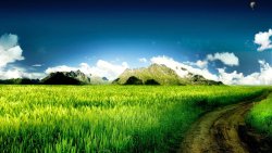 Mountains and Green Field