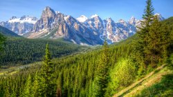 Mountains and Green Old Forest