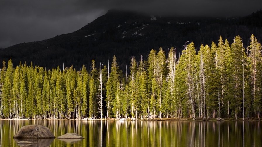 Night Foggy Mountains and Lake