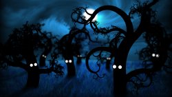 Night Forest and Funny Trees