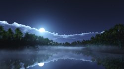 Night Tropical Lake and Forest 3D