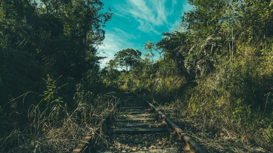 Old Abandoned Railway and Trees