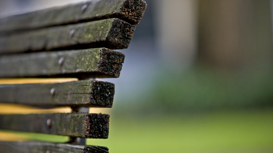 Old Bench in the Park