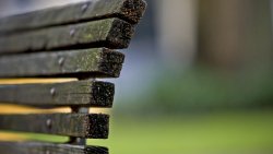 Old Bench in the Park