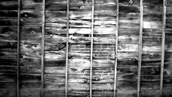 Old Black and White Wall Photo