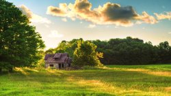 Old House and Field