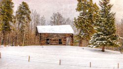 Old House in the Winter Forest