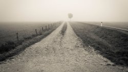 Old Photo Road and Fog