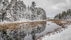 Old River in the Winter Forest