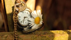 Old Style Clock with Chamomile