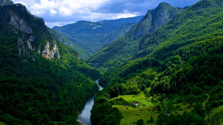 Perfect Green Forest in Mountains Valley