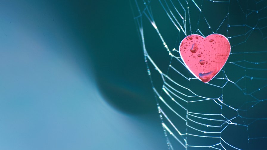 Pink Heart with Water Drops in Spider Web