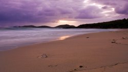 Pink Sunset on the Beach