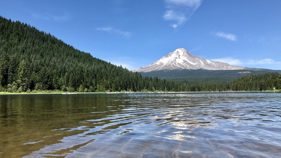 Pure Water in Lake Green Forest and Mountain