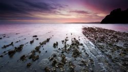 Purple Sunset Beach