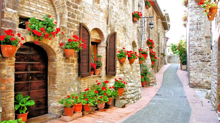 Red Flowers on the Old Beautiful Little Street