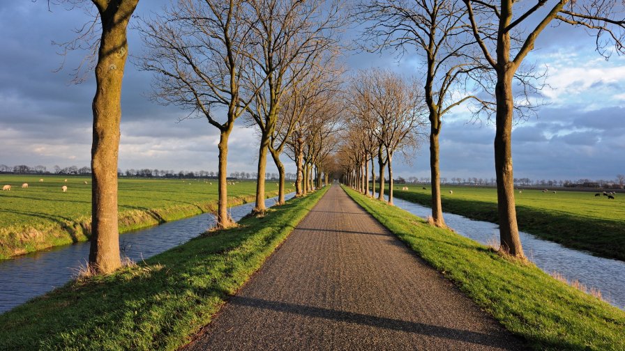 River Around Road