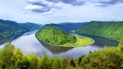 River Between Green Forest Summer