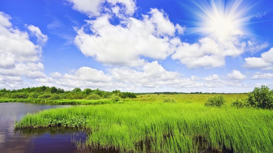 River Green Grass and Meadow