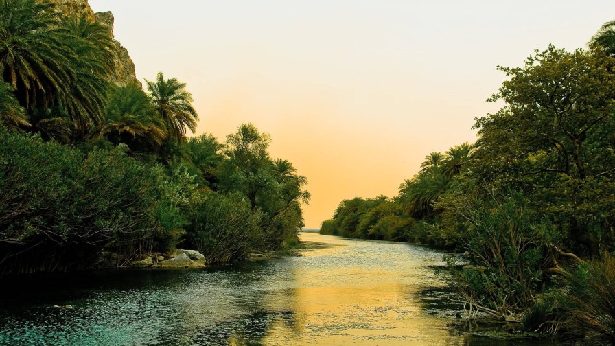 River in Jungle