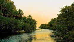 River in Jungle