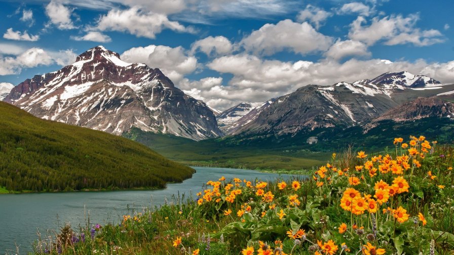 River in Mountain Valley and Flowers on the Beach