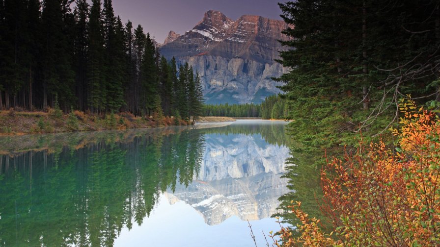 River in Old Pine Forest and Mountain